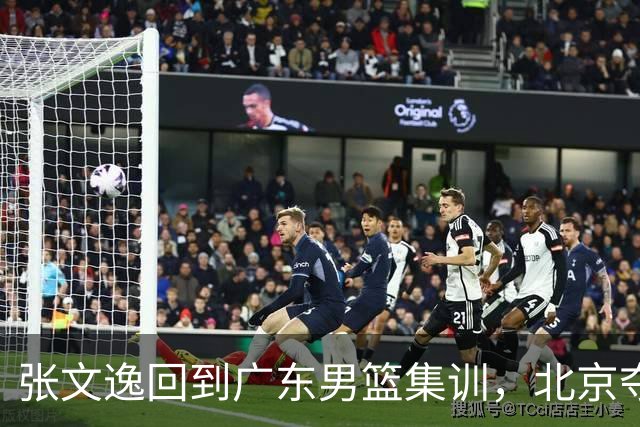 张文逸回到广东男篮集训，北京夺冠功勋确定退役，上海欲续约弗格